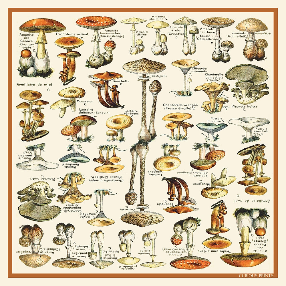 100% Silk Mushroom Botanical Bandana