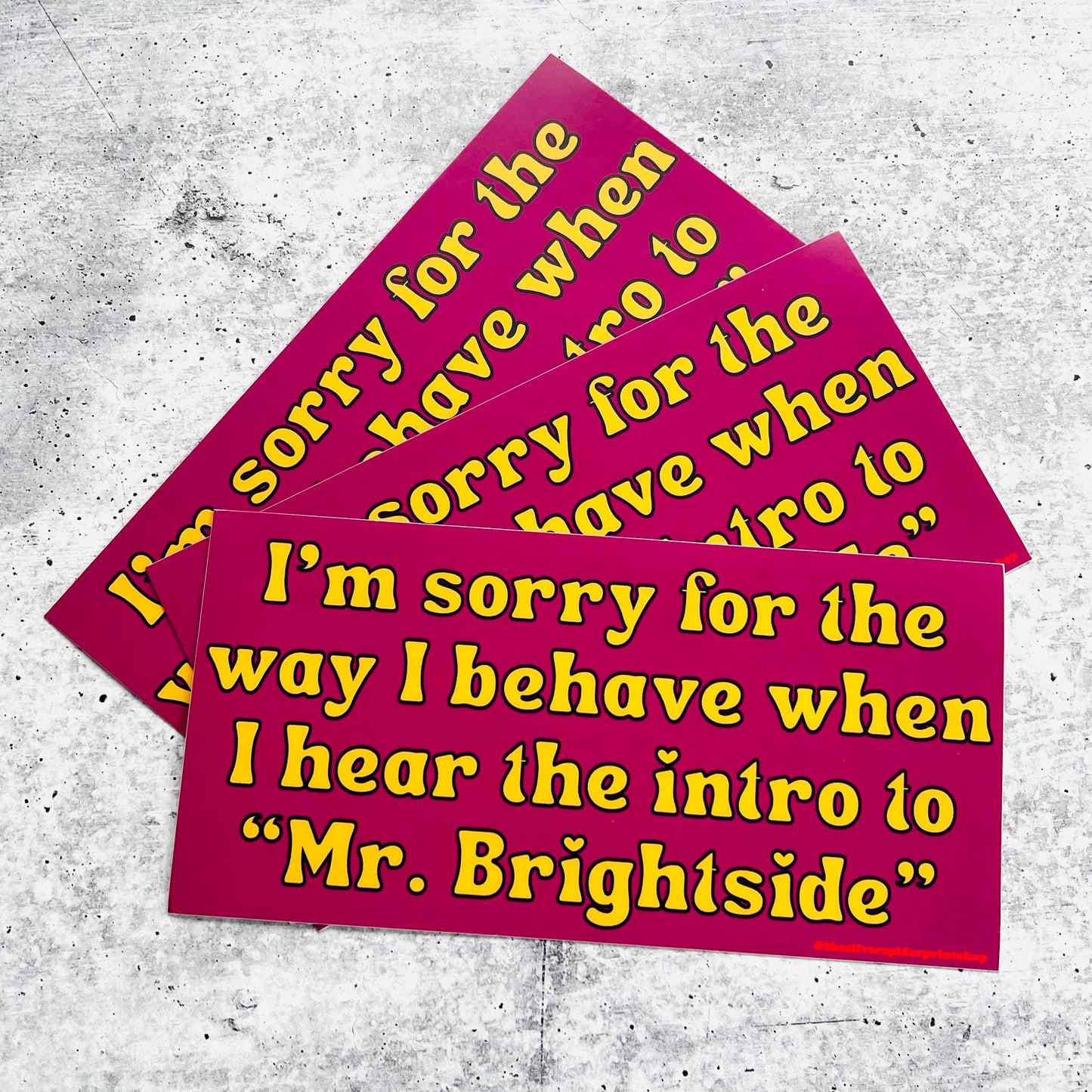 Mr. Brightside | Vinyl Bumper Sticker
