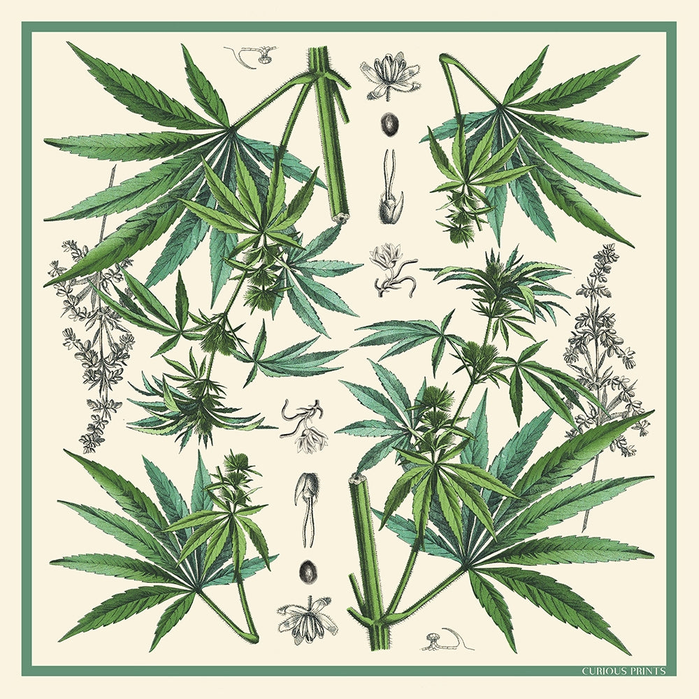 100% Silk Cannabis Sativa Botanical Bandana